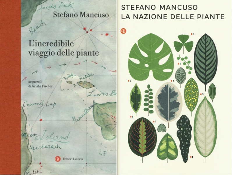Stefano Mancuso’s Nation of Plants: review of two books