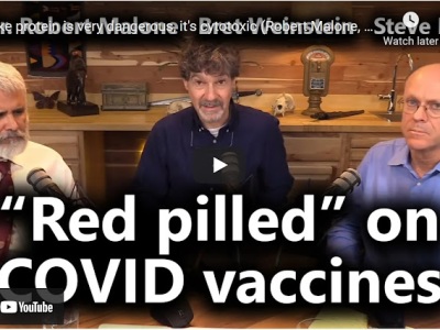 How Dr Robert Malone invented Antivaxxery